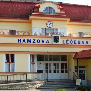 Odjezd na rehabilitace do Hamzovy léčebny